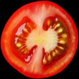 tomato