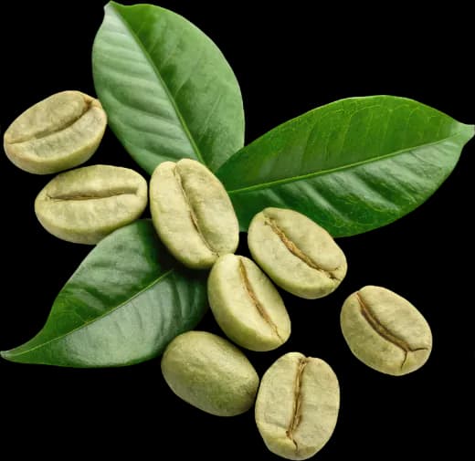 coffee_beans